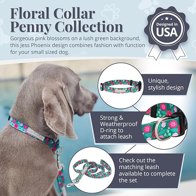 Lucky Love Dog - Adjustable Dog Collar with Easy Click Buckle for Small to Large Dogs, Durable, & Comfortable for Male & Female Dogs, Pet Collar for Puppies & Adult Ones - Penny, Large