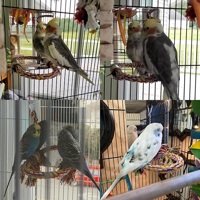 Colorday 7" Bird Mirror with Rope Perch, Bird Swing, Parrot Cage Toys for Parakeet African Grey Conure Cockatiel Lovebird Finch Canarie, Medium