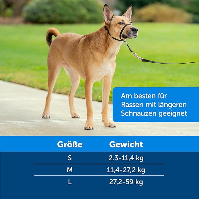 Kurgo Enhanced Strength Tru-Fit Dog Car Harness - Pet Travel Safety Harness - Crash Test Certified Fit - Five Point Adjustment - Secure Buckle - Padded Chest - Ink Blue - Small