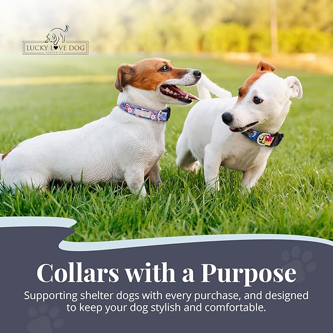 Lucky Love Dog - Adjustable Dog Collar with Easy Click Buckle for Small to Large Dogs, Durable, & Comfortable Collar for Male & Female Dogs, Pet Collar for Puppies & Adult Dogs - Zuzu, Small