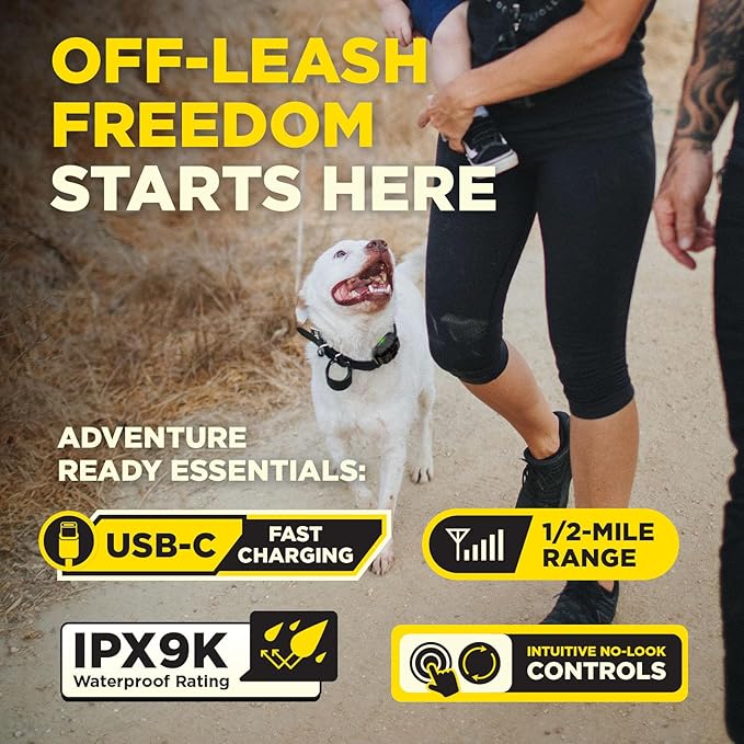 Dogtra 200iQ Remote Training E Collar – 100 Levels, Tone, Vibration, 1/2 Mile Range – Compact, Waterproof, One-Handed Control for Dogs 10 lbs+ – Lightweight Design for Daily Training – Organic Stone