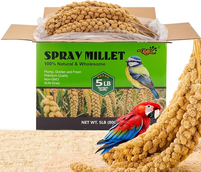 RANZ 5LBS Millet Spray for Birds, GMO-Free, Sun Dried Spray Millet, Original Bird Treats & Supplement for Parrots, Cockatiels, Lovebirds, Painted Buntings and Finches, Parakeets Food