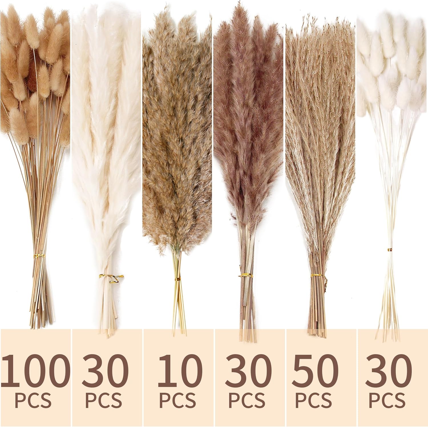 240 PCS Dried Flower Bouquet – Pampas Grass, Floral Decor for Home, Wedding, and Boho Style | Perfect for Vases, Fall, Spring, Summer, and Winter Arrangements