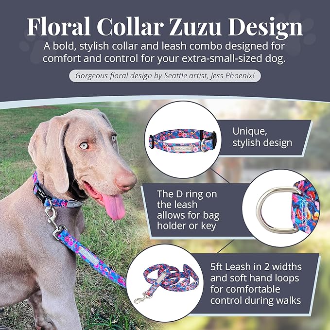 Lucky Love Dog - Adjustable Dog Collar and Leash Set with Easy Click Buckle for Small to Large Dogs, Durable, & Comfortable Collar for Male & Female Dogs, Puppies & Adult Dogs - Zuzu, XS