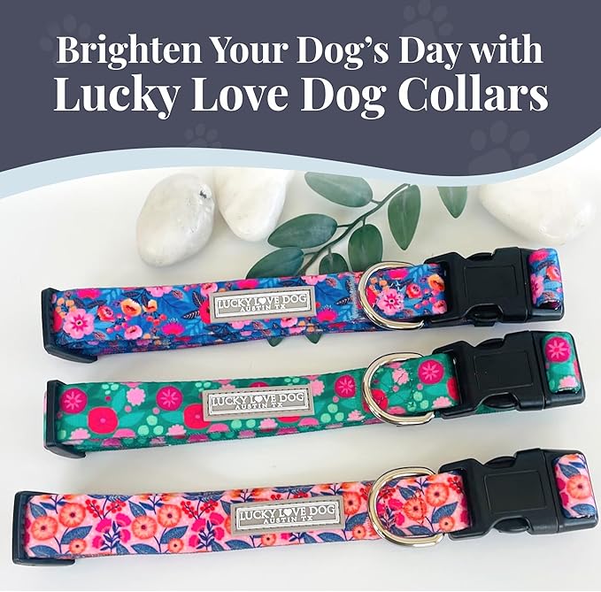 Lucky Love Dog - Easy Click Buckle Dog Collar with Leash Set Combo, Durable & Comfortable for Male & Female Dogs, Pet Collar for Small to Large Dogs, Secure Fit - Floral Rosie Combo, Large