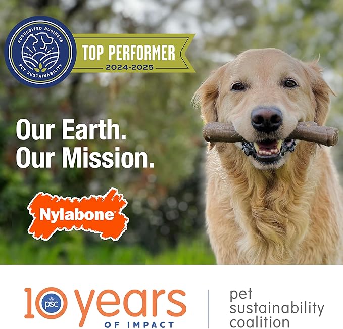 Nylabone Limited Edition 70th Birthday Textured Bone Power Chew Toy for Dogs, Durable & Tough Dog Toys for Aggressive Chewers, Roasted Chicken Flavor, X-Large Dogs - 50+ lbs (1 Count)