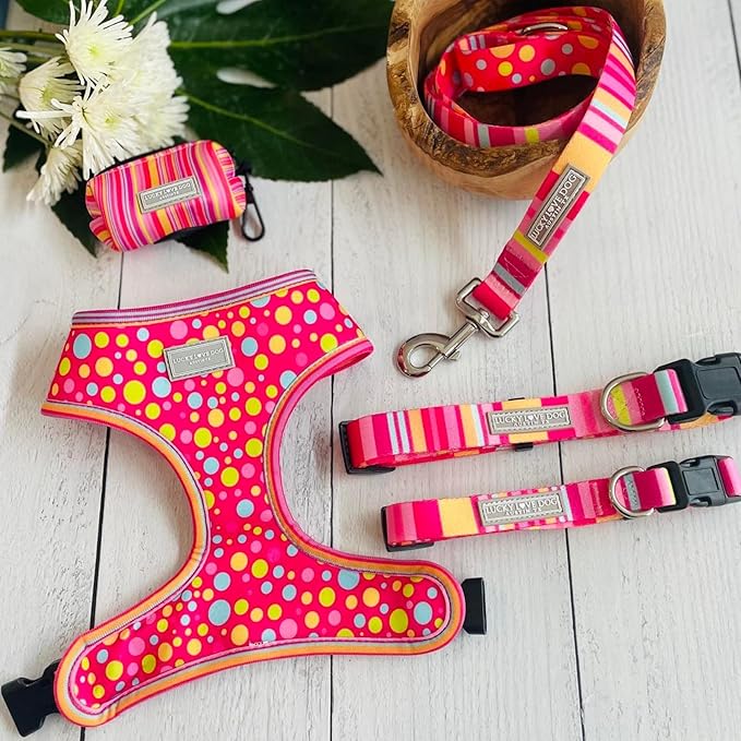 Lucky Love Dog - Easy Click Buckle Dog Collar with Leash Set Combo, Durable & Comfortable for Male & Female Dogs, Pet Collar for Small to Large Dogs, Secure Fit - Molly Combo, Extra Small