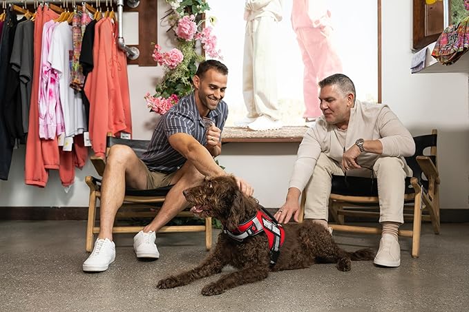 Support Pets The Only Official ESA™ Dog Harness – Adjustable No-Pull Dog Vest for Easy Pet Recognition with Reflective Straps – Soft, Padded & Comfortable for Training and Daily Use - XSmall