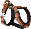 MADE TO ROAM Premium Explorer Harness - Y-Shaped Dog Harness with Adjustable Durable Nylon, Soft Padding, Metal Buckles and Leather Handle for Small, Medium, Large Dogs (Nevada Evening, Size 4)