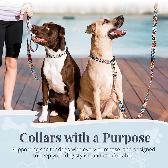 Lucky Love Dog - Adjustable Dog Collar with Easy Click Buckle for Small to Large Ones, Durable, & Comfortable for Male & Female Dogs, Pet Collar for Puppies & Adult Dogs - Blackbird, Extra Large