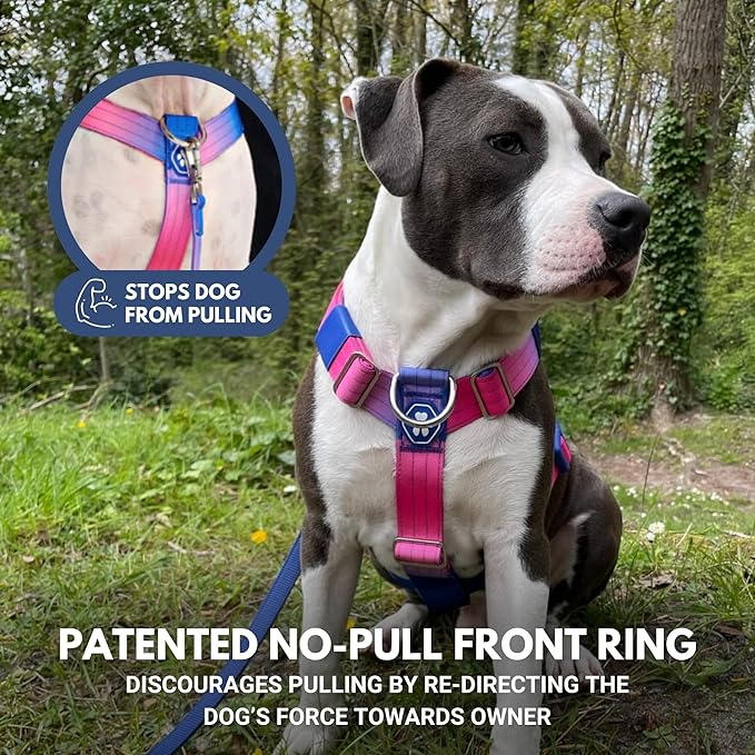 Spark Paws No Pull Dog Harness for Large Dogs, Heavy Duty Dog Harness for Big Strong Breeds, Adjustable, Y Shaped Padded Halter Design with Front Clip - Snow Cone - Medium