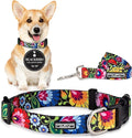 Lucky Love Dog - Easy Click Buckle Dog Collar with Leash Set Combo, Durable & Comfortable for Male & Female Dogs, Pet Collar for Small to Large Dogs, Secure Fit - Blackbird Combo, Small