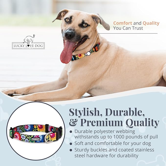 Lucky Love Dog - Adjustable Dog Collar with Easy Click Buckle for Small to Large Ones, Durable, & Comfortable for Male & Female Dogs, Pet Collar for Puppies & Adult Dogs - Blackbird, Extra Large
