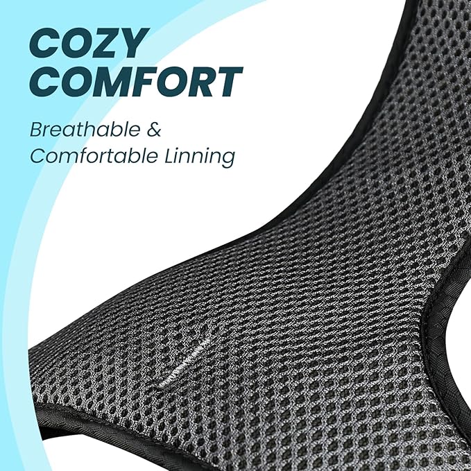 VIVAGLORY Dog Harness Easewalk No Pull Dog Harness with Handle & Front Back Clip for Training Lifting, Easy On Adjustable Padded No Pull for Pet & Puppy, L, Blue