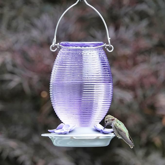 Nature's Way Hanging Glass Hummingbird Feeder for Outdoor Decor, 29 Ounce Capacity Nectar Feeder, 4 Easy to Clean Flexible Ports, Purple Lilac