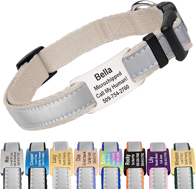 GoTags Reflective Personalized Dog Collar with Nameplate, Adjustable Dog Collar with Custom Engraved Steel Slide On Pet ID Tag, Silent, No Noise Dog Tag for Large Medium or Small (Beige, Small)