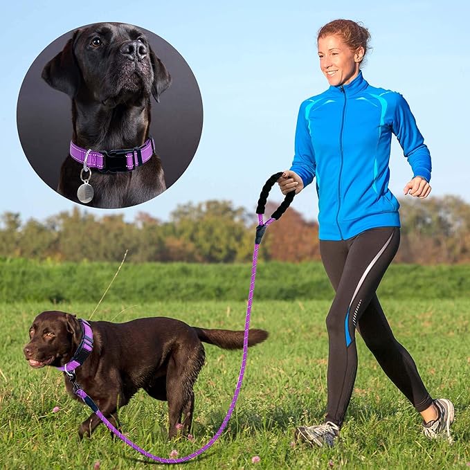 Reflective Dog Collar Padded with Soft Neoprene Breathable Adjustable Nylon Dog Collars for Small Medium Large Dogs (Medium (Pack of 1), Purple Collar+Leash)