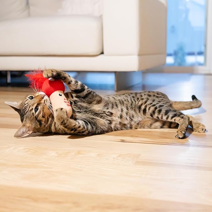 Catstages A Really Fungi Cat Kicker Toy with Catnip and Dental Mesh, Mushroom Shape, Plush and Feather Cat Toy for Kicking, Tossing, and Teeth Cleaning, Red