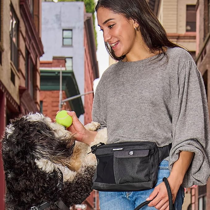 Dog Walk & Train Sling Bag - Hands-Free 2-In-1 Treat Pouch, Poop Bag Holder, Clicker, Phone Pocket - Crossbody/Fanny Pack, Adjustable Strap - Graphite