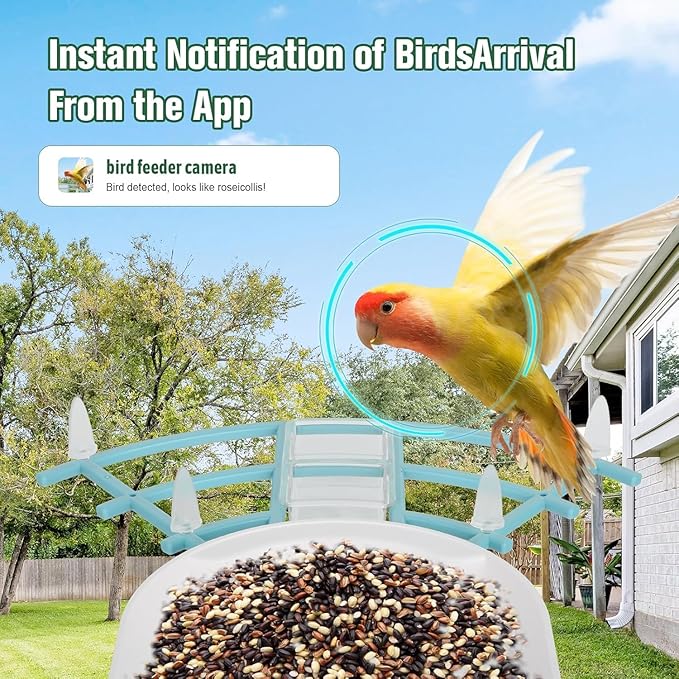 Bird Feeder with Camera, AI Identify Birds Species Solar Powered, Auto Record Videos in Backyard, Instant Notifications, Ideal Gift for Family and Bird Lovers