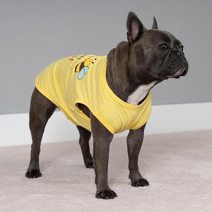 Fitwarm Bee The Best You Can Dog Shirt, Summer Clothes for Small Dogs Boy Girl, Funny Pet Outfit, Yellow, Brown, Blue, Large