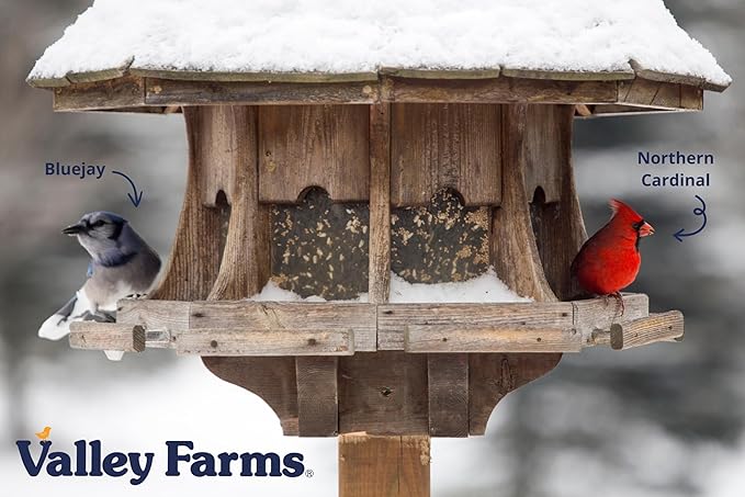 Valley Farms Deluxe Blend (4 LB) Wild Bird Food for Outside Feeders with Black Oil Sunflower Seed, Safflower Seed for Birds - Select Birdseed
