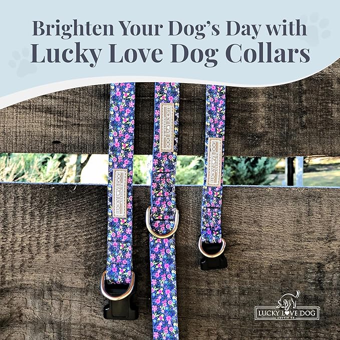 Lucky Love Dog - Adjustable Dog Collar with Easy Click Buckle for Small to Large Ones, Durable, & Comfortable for Male & Female Dogs, Pet Collar for Puppies & Adult Dogs - Primrose, Large