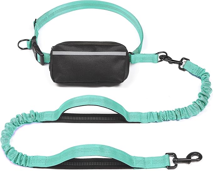 iYoShop Hands Free Dog Leash with Zipper Pouch, Dual Padded Handles and Durable Bungee for Walking, Jogging and Running Your Dog (Large, 25-120 lbs, Teal)