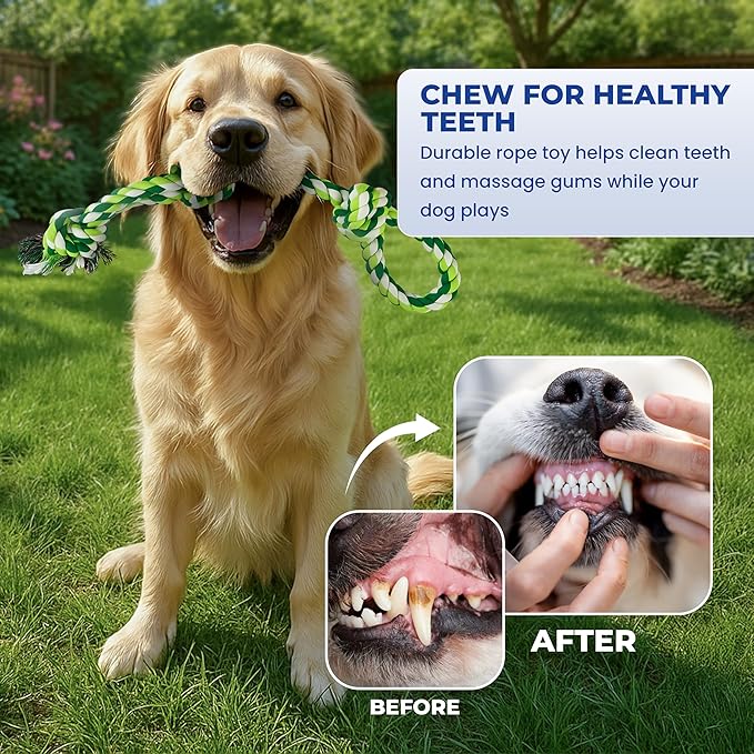 Pup Quartet Dog Rope Toy for Aggressive Chewers 2-Pack Tug of War Dog Toy with Thick Knots Heavy Duty Rop Toys for Dogs – Indestructible Rope Chew Toys for Medium & Large Dogs
