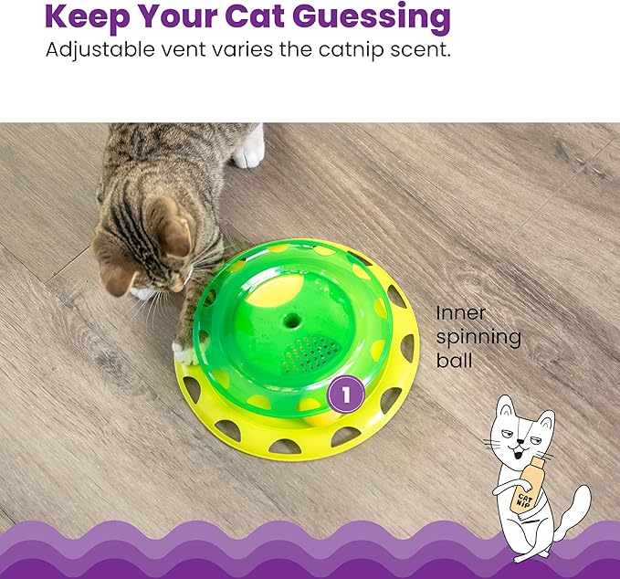 Catstages Catnip Chaser Track – Interactive Cat Toy with Catnip for Batting, Swatting, and Mental Stimulation, Green