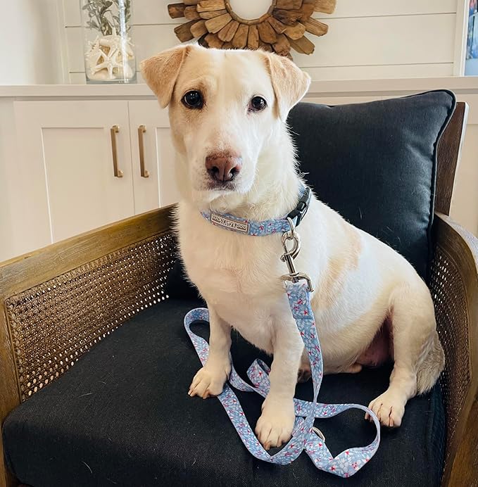 Lucky Love Dog - Adjustable Dog Collar with Easy Click Buckle for Small to Large Ones, Durable, & Comfortable for Male & Female Dogs, Pet Collar for Puppies & Adult Dogs - Winterblue, Large