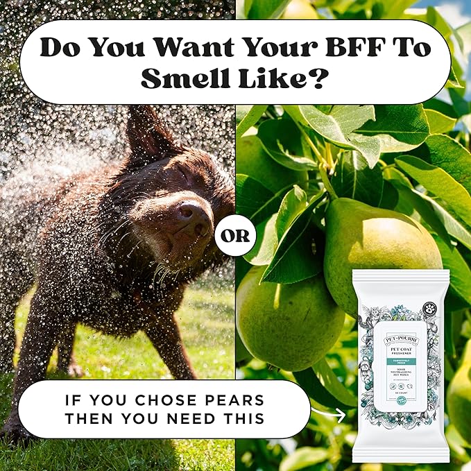 Poo-Pourri Pawsitively Fresh Deodorizing Pet Wipes – Quick Cleaning Wipes for Dogs & Cats – Plant Based Ingredients – Vet Recommended – Cleaner Odor Remover Wipes for Paw, Fur & Skin Soothing