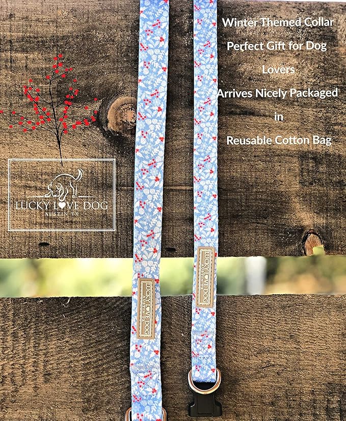Lucky Love Dog - Adjustable Dog Collar and Leash Set with Easy Click Buckle for Small to Large Dogs, Durable, & Comfortable Collar for Male & Female Dogs, Puppies & Adult - Winterblue Combo, Medium