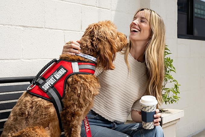 Support Pets The Only Official ESA™ Dog Harness – Adjustable No-Pull Dog Vest for Easy Pet Recognition with Reflective Straps – Soft, Padded & Comfortable for Training and Daily Use - XLarge