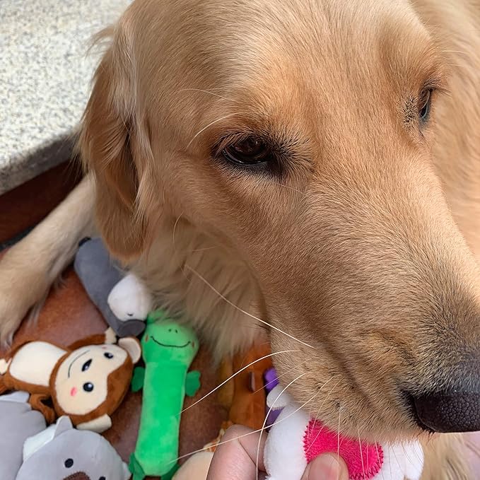 Jalousie 12 Pack Plush Animal Dog Toy, Premium Squeaky Chew Toys for Small Medium Dogs, Stuffed Puppy Toys for Pets - Dental Cleaning & Stress Relief