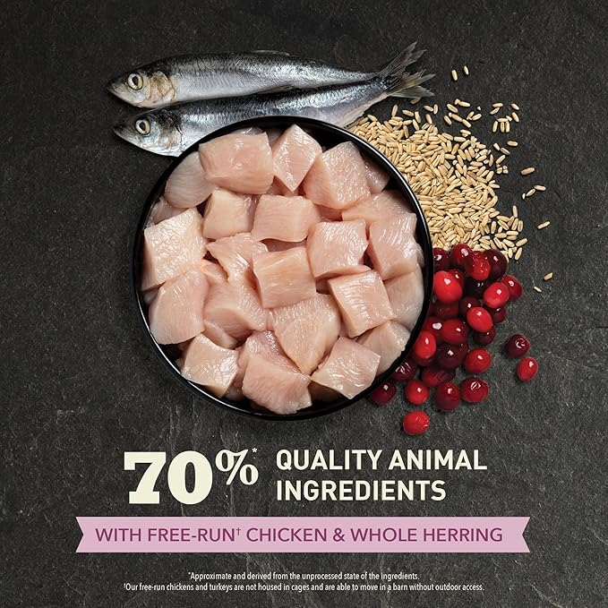 ACANA Dry Cat Food for Kittens First Feast Chicken and Fish 7lb Bag