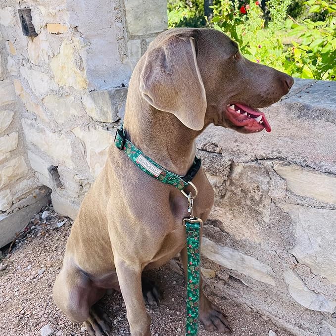 Lucky Love Dog - Adjustable Dog Collar with Easy Click Holly for Small to Large Ones, Durable, & Comfortable for Male & Female Dogs, Pet Collar for Puppies & Adult Dogs - Holly, Small