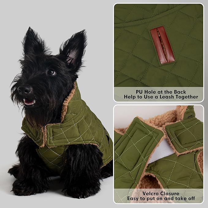 azuza Dog Jacket Waterproof & Windproof Dog Coat for Small Dogs with Thick Fleece, High Collar with Leash Hole, Adjustable Velcro & Elastic Belly, Army Green L
