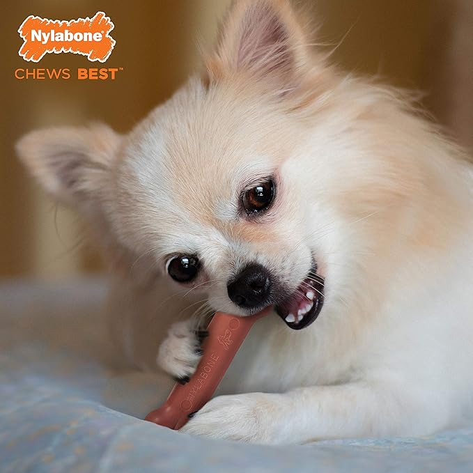 Nylabone Power Chew Classic Bone Chew Toy for Dogs, Durable Dog Toys for Aggressive Chewers, Bacon Flavor, X-Small/Petite - Up to 15 lbs. (1 Count)