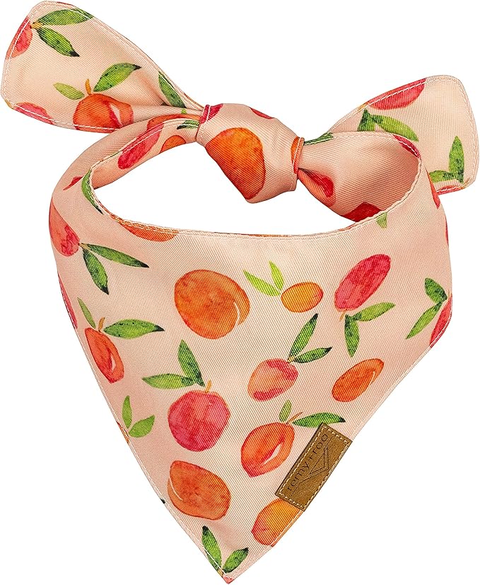 Remy+Roo Small Spring Dog Bandanas - 4 Pack Katherine Set | Premium Durable Adjustable Polyester Fabric Dog Scarfs | Patented Shape Girl Dog Bandana, Trendy Patterns, Floral Dog Bandana