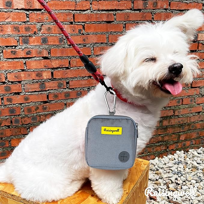 Dog Treat Pouch for Pet Walking and Training with Clicker Poop Bags Small Fanny Zipper Pack Holder for Puppy Snack Dispenser Kit for Leash and Outdoor Use （Gray）