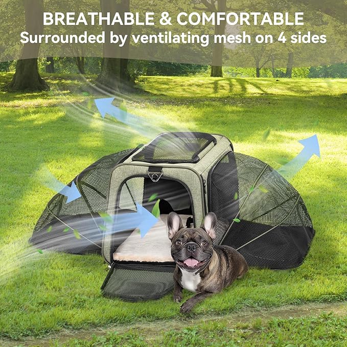 Petsfit Expandable Cat Carrier Dog Carrier, Soft-Sided Portable Pet Travel Carrier, Removable Soft Plush mat and Pockets, Locking Safety Zippers, 19x12x12 Inches