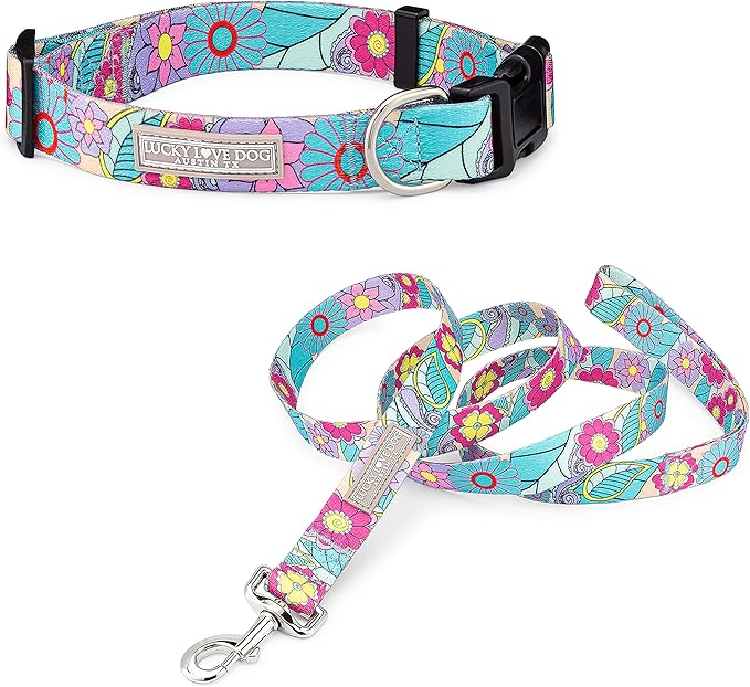 Lucky Love Dog - Adjustable Dog Collar and Leash Set with Easy Click Buckle for Small to Large Ones, Durable, & Comfortable Collar for Male & Female Dogs, Puppies & Adult Dogs - Caroline, XL