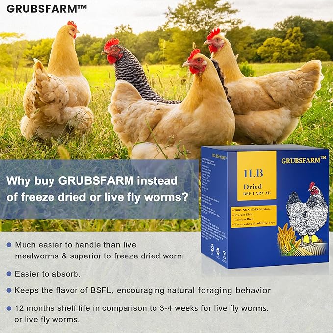 Premium Dried Black Soldier Fly Larvae for Chickens 1LB - Superior to Mealworms - 85X More Calcium Than Meal Worms - Molting & Laying Hens Supplement - Non-GMO BSF Larvae Treats for Ducks