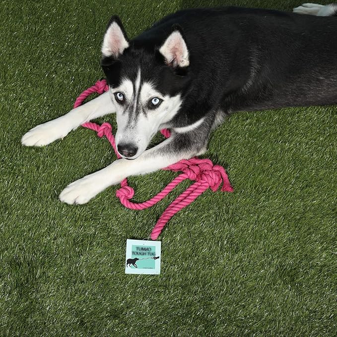 Tumbo Tough Tug Rope Dog Toy - (Pink 5 ft Long Strong and Durable Rope Pull Toy with Handle) TUG of WAR Dog Toy