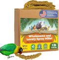Birds LOVE Spray Millet – 1 lb GMO-Free, No Stems (Edible Tops Only) – Healthy Treat for Cockatiels, Lovebirds, Parakeets, Finches & Canaries