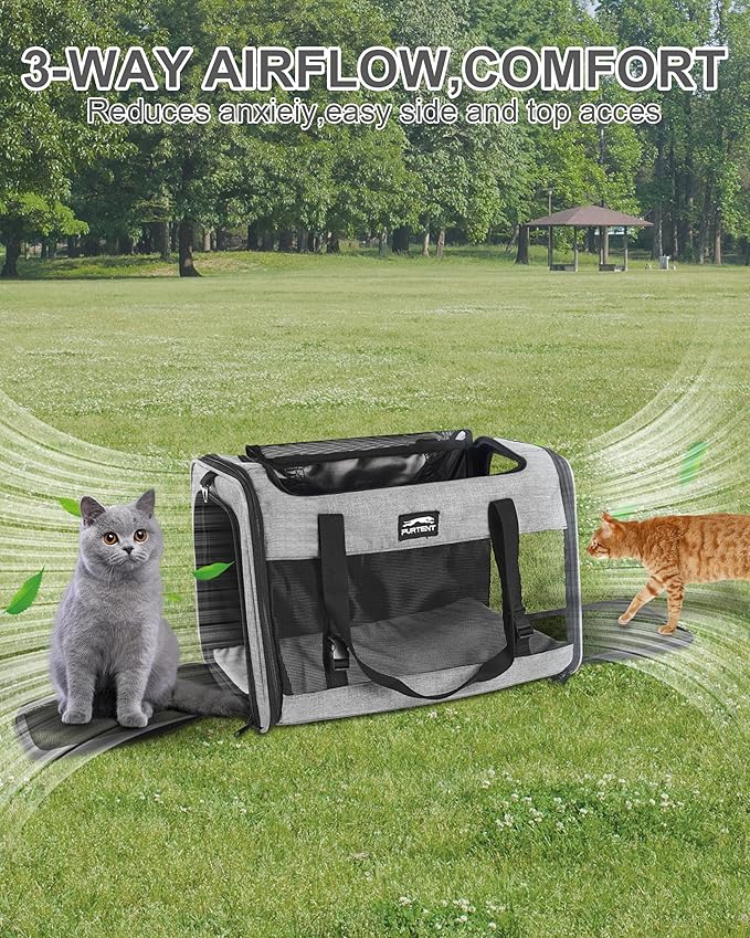 Soft-Sided Large Cat Carrier for 2 Cats, Spacious Foldable Pet Travel Carrier for Large Cats up to 25 Lbs, Double Cat Bag with Shoulder Strap, 20x13x13 Inch, Fits Maine Coon and Small Dogs, Grey