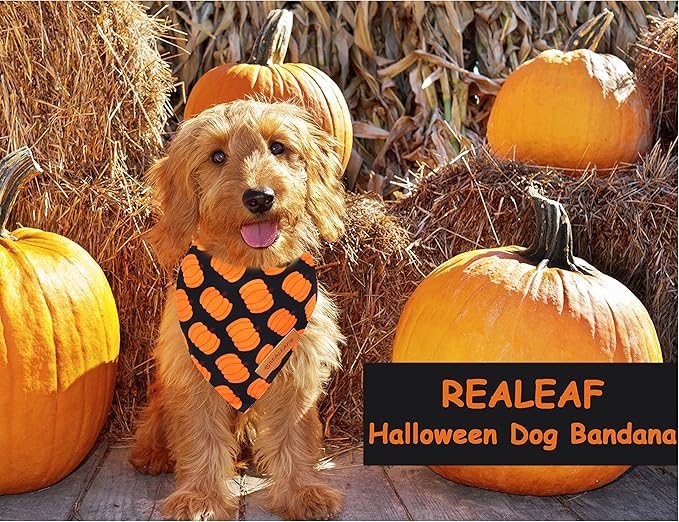Realeaf Halloween Dog Bandanas 2 Pack - Pumpkin Fall Scarf for Boys and Girls, Premium Durable Fabric, Orange Holiday Accessory for Large and Extra Large Dogs (X-Large)
