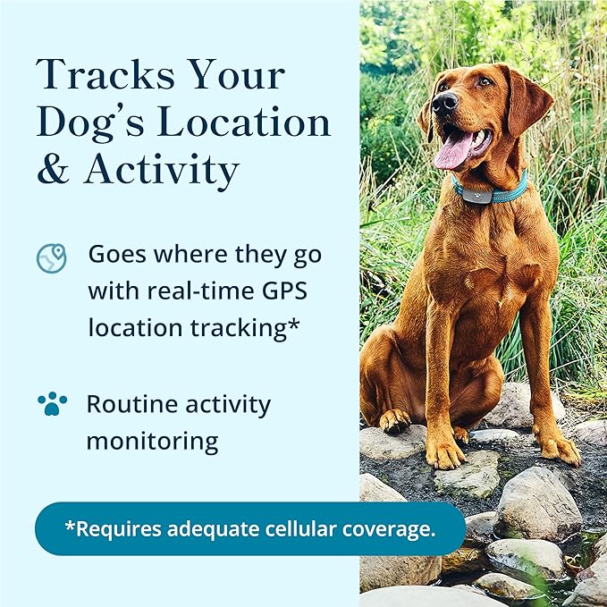 Petivity Smart GPS and Activity Pet Tracker for Dogs Powered by Purina, Waterproof Real Time Tracking GPS Dog Collar, Downloadable App, Subscription Required