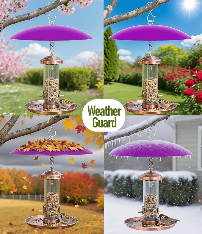 13" Bird Feeder Rain Cover,Bird Feeder Dome,Hummingbird Feeder Guard, Proof Bird Feeders Baffle, (Purple), 2Pack